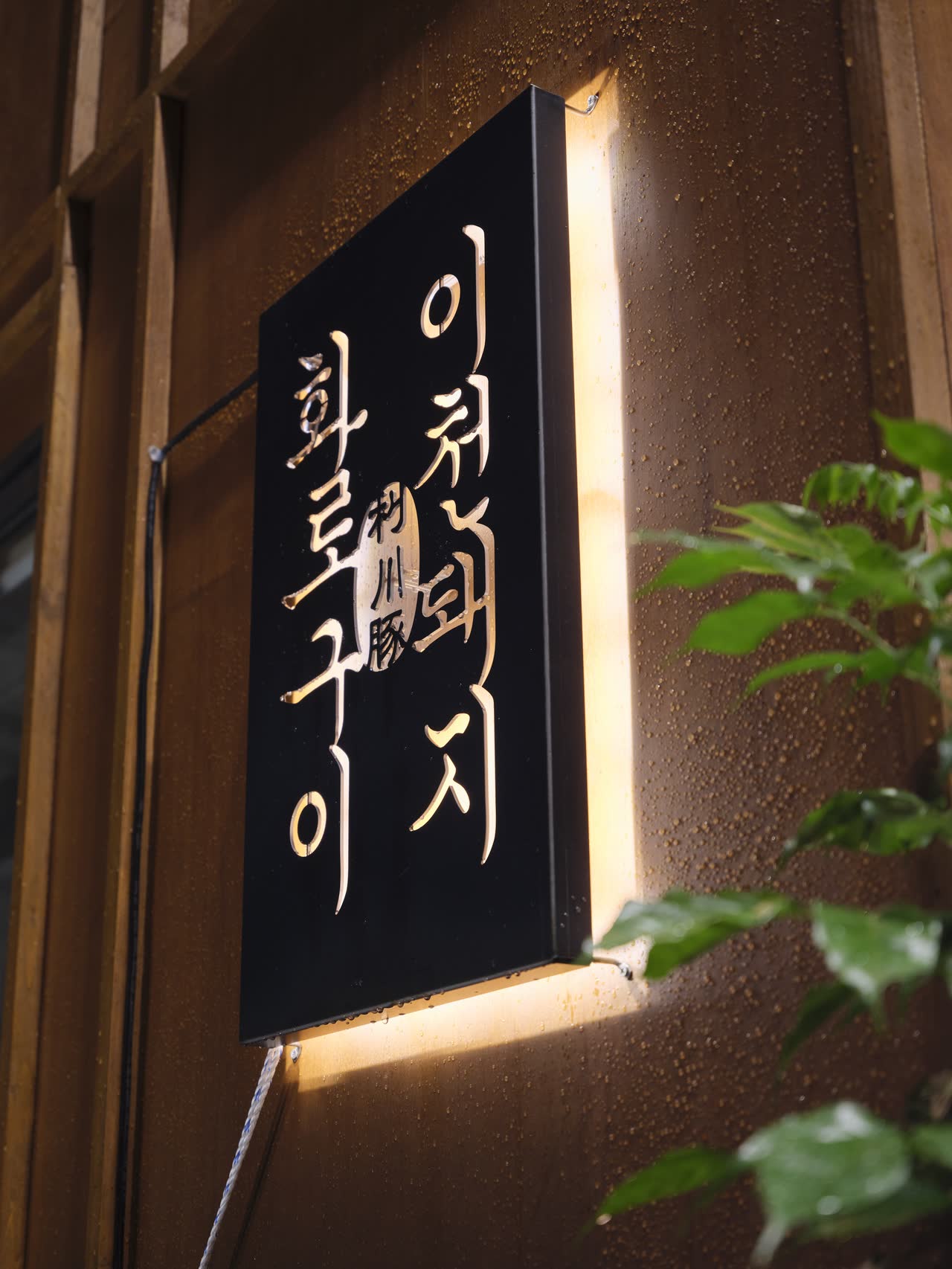 뒤에서 빛을 넣은 검은 명판. '이천돼지 화로구이'와 '利川豚'이 붓글씨로 적혀 있고, 앞쪽으로 초록 잎사귀가 걸쳐 있다